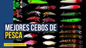 mejores cebos de pesca