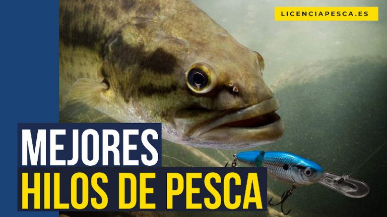 mejores hilos de pesca